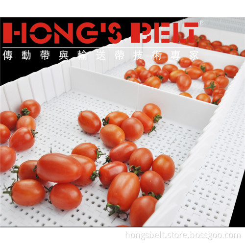 1' Fruit Industry Easy Clean Modular Conveyor Belt